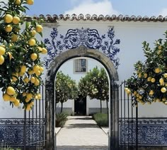 an orange tree in front of a white building with blue and white tiles on it