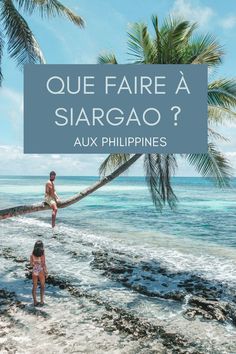 two people sitting on a palm tree in the ocean with text overlay that reads que faire a siargao?