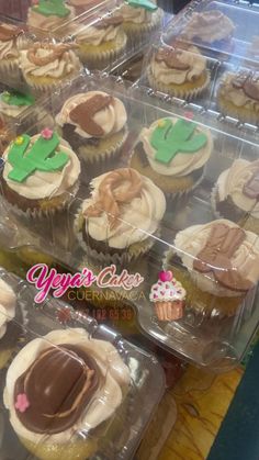 cupcakes with frosting and cactus decorations in plastic trays on a table