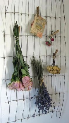 several dried flowers are hanging on a wire wall