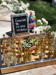 there are many bottles on the table with some succulents in front of them