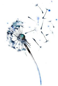 the dandelion is blowing in the wind with watercolors on white paper