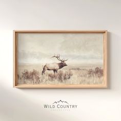 an elk painting hangs on the wall in front of a white background with wild country logo