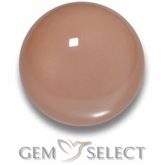 an image of a round object with the word gems select on it's side