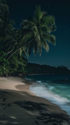 a beach with palm trees and the moon in the sky above it at night time