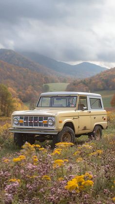 an old ford bronco is parked in a field with wildflowers and mountains in the background