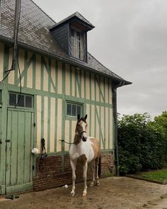 a brown and white horse standing in front of a green doored building with shutters