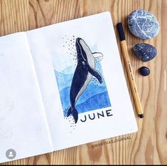 an open notebook with a drawing of a humpback whale on it next to rocks