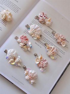 an open book with various seashells and pearls on the pages, all in different shapes and sizes