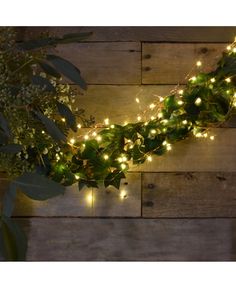 the garland is decorated with lights and greenery