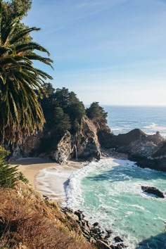 the beach is next to some trees and water