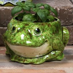 a green frog planter sitting on top of a brick wall