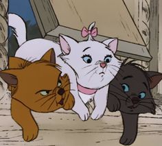 three cartoon cats with blue eyes and one has a pink bow on it's head