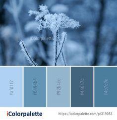 the color palette is blue and has frosty plants in it, including one that looks like