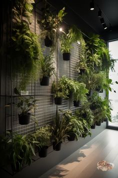 a wall with many plants on it in front of a window and a wooden floor