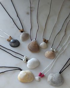 several seashells are arranged on a white surface, with pearls and bead necklaces