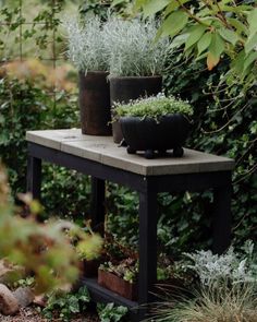 two potted plants sitting on top of a wooden bench in the middle of a garden