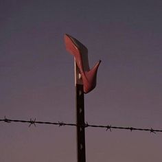 a pink high heeled shoe on top of a barb wire fence with purple sky in the background