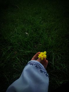 a person's hand holding a yellow flower in the middle of some green grass