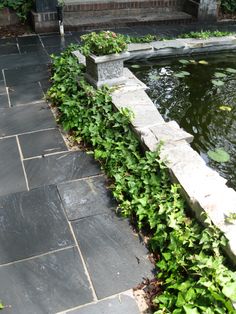 an outdoor pond surrounded by greenery and stone steps