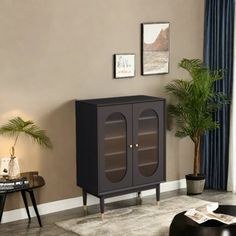 a living room scene with focus on the cabinet