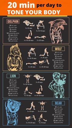 Animal Workout, Calisthenics Workout Plan, Workout Plan For Men, Full Body Workout Routine, Muscle Abdominal, Workout Routine For Men