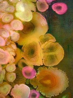 an abstract painting of flowers in pink, yellow and green