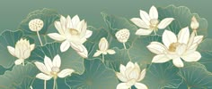 an image of flowers that are in the middle of some water lilies on a green background