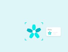 a blue flower with the words daisy on it and an image of a white card