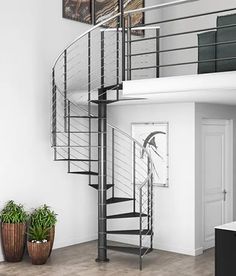 a spiral staircase in an empty room with potted plants