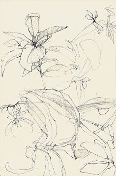 a drawing of some flowers on a white paper