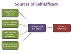 a flow diagram with the words, sources of self - efficiency and various types of self - performance