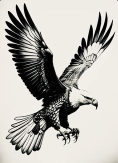 a black and white photo of an eagle flying in the air with its wings spread