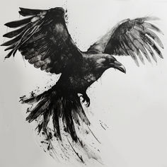 a black and white drawing of a bird with its wings spread out, flying in the air