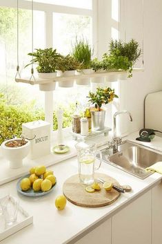 some lemons are sitting on the kitchen counter