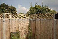 a wooden fence next to a green bush