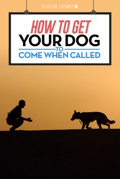 a man kneeling down next to a dog in front of a sign that says how to get your dog to come when called