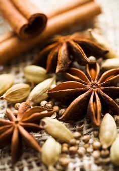 anise, cinnamon and star anise on a tablecloth with some cinnamon sticks