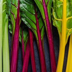 several different types of vegetables with green leaves on the top and purple stems in the middle