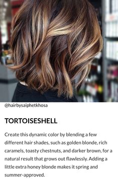 Blue Based Brown Hair, Brunette Inverted Bob With Highlights, Hair Colors For Brown Hazel Eyes, Fall 2023 Shoulder Length Hair, Carmel Pixies, Holiday Causal Outfits, Hair For Pale Cool Toned Skin, Hair Couler Ideas For Brunettes, Fall 2023 Womens Hair