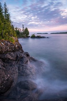 a rocky shore with trees and water in the background