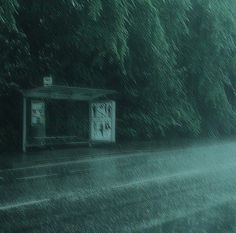 an outhouse sitting in the middle of a forest with rain coming down on it