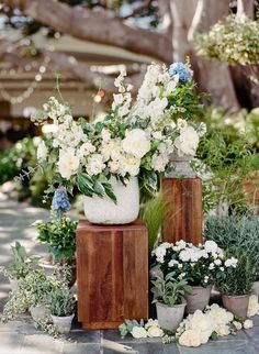 some white flowers are sitting in vases next to each other on small wooden blocks