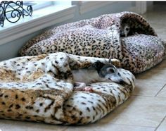 a small animal is curled up in a leopard print bed