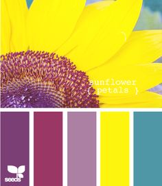 a yellow sunflower is in the middle of color swatches with purple and green