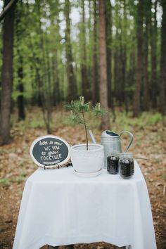 a potted plant sitting on top of a white table in the middle of a forest