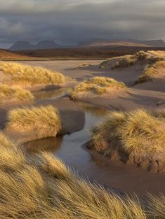 there is a stream running through the sand dunes