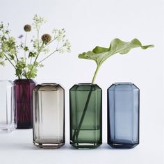 three vases with plants in them sitting on a table next to eachother