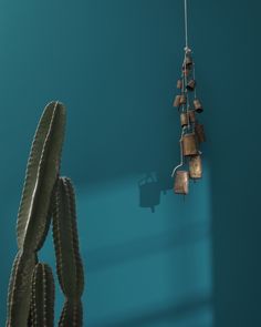 a cactus hanging from a hook in front of a blue wall