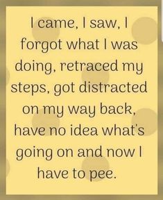 a quote that says i came, i saw forgot what i was doing, replaced my steps, got distracted on my way back, have no idea what's going on and now i have to pee